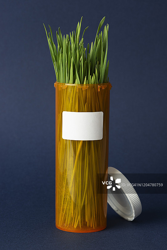 神奇小麦草图片素材