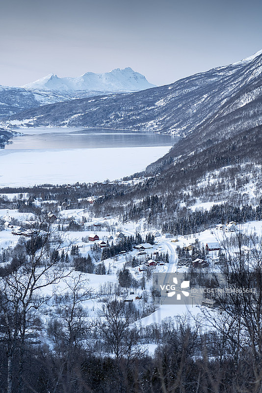 冬季森林景观图片素材