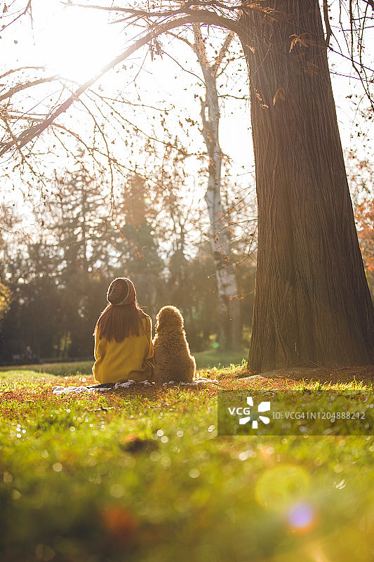 宁静的午后，毛茸茸的朋友在树旁图片素材