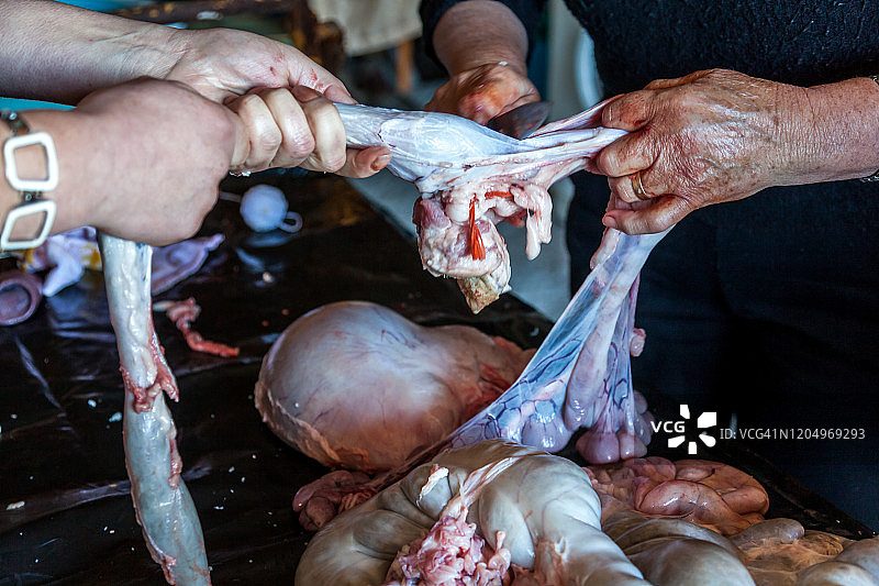 妇女清理猪内脏图片素材
