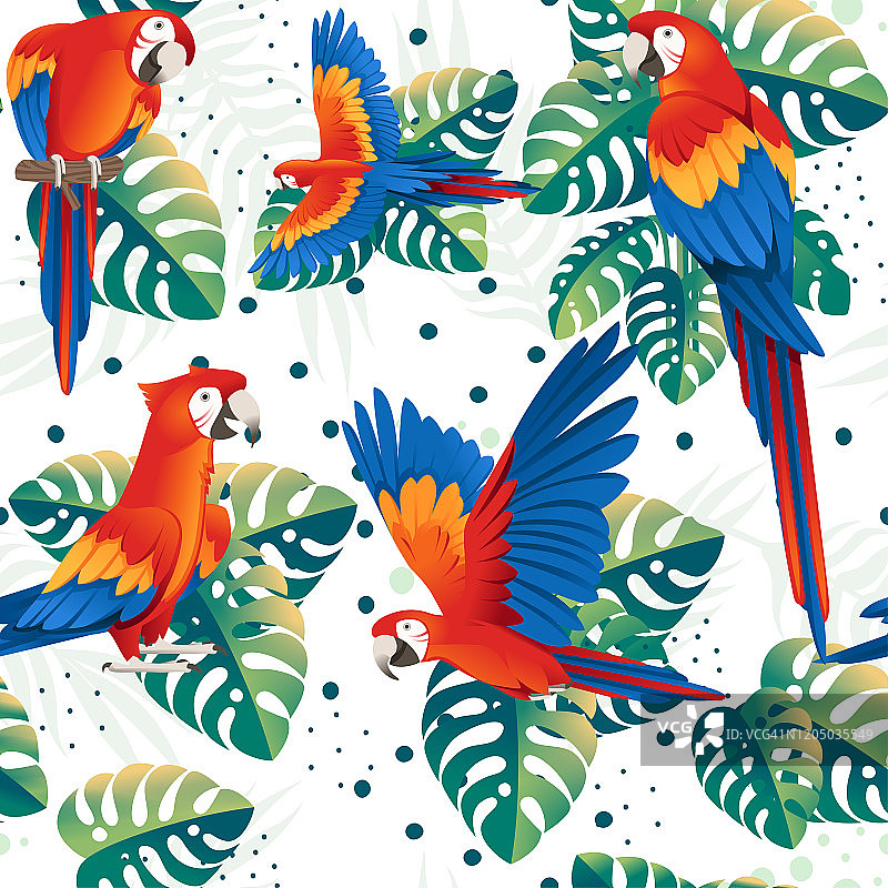 白色背景成年红绿金刚鹦鹉与绿色热带树叶卡通鸟类设计扁平矢量图无缝图案图片素材