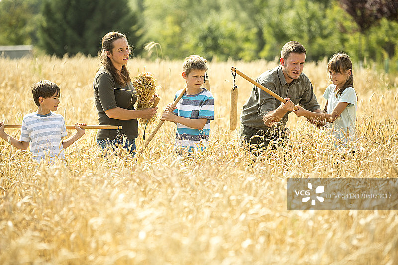 孩子们在田间学习打麦图片素材