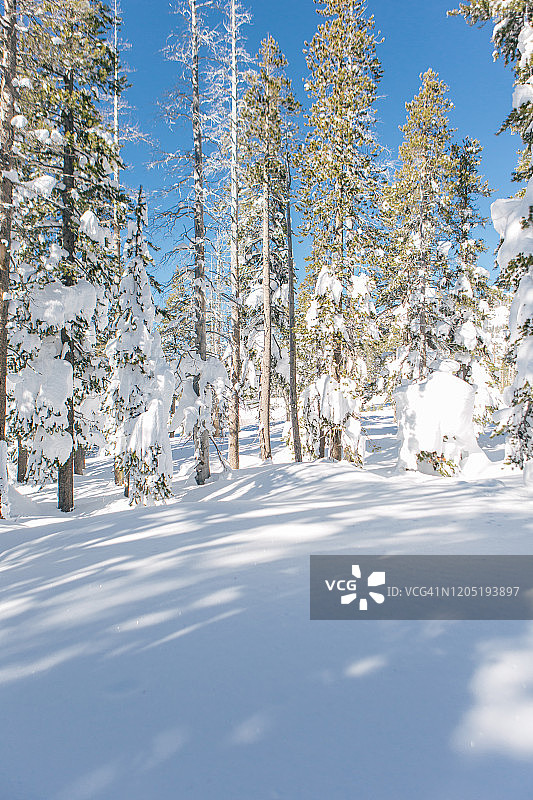 唐纳峰的冬季，加利福尼亚州特拉基图片素材