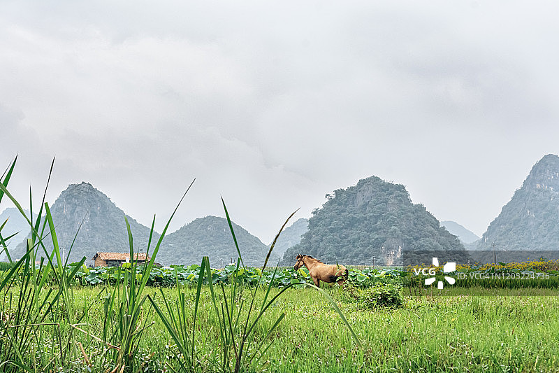 绿水青山田园风光图片素材
