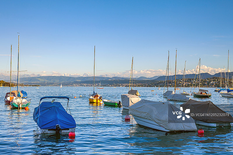 夏季瑞士苏黎世湖上的船只图片素材