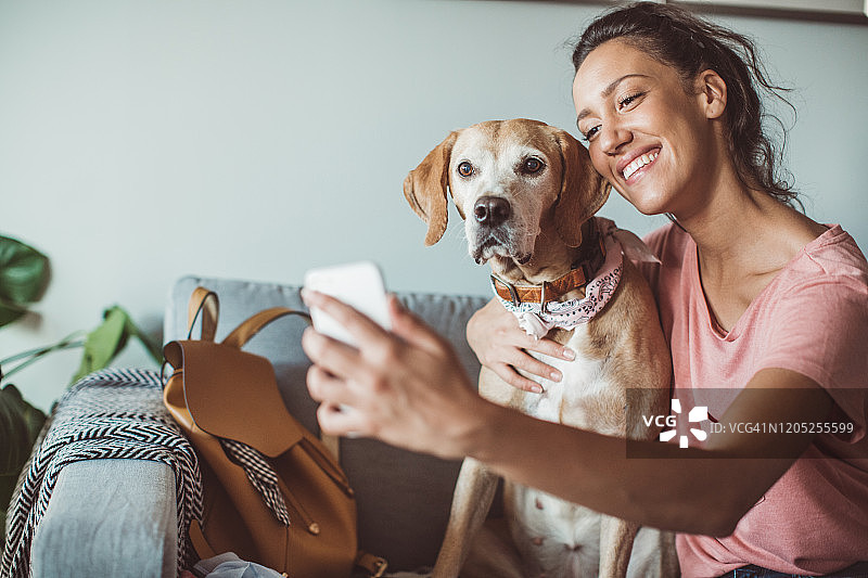 宠物日托图片素材