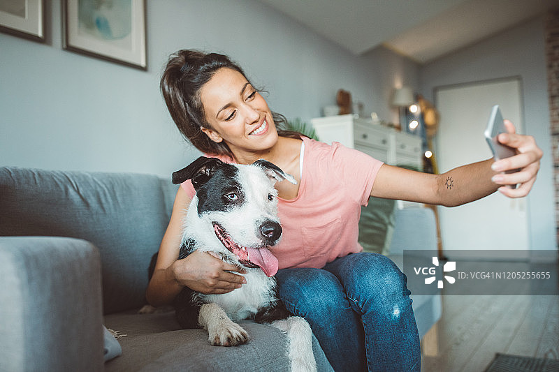 宠物日托图片素材