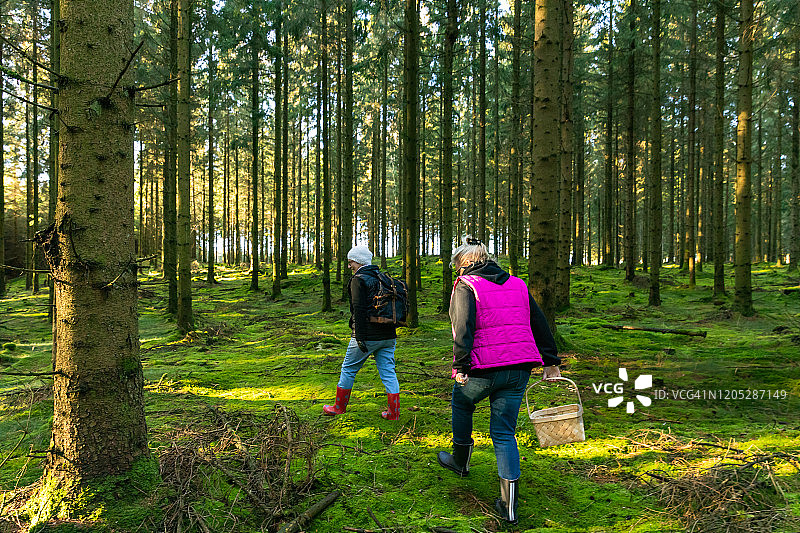 两位年长女士在森林中图片素材