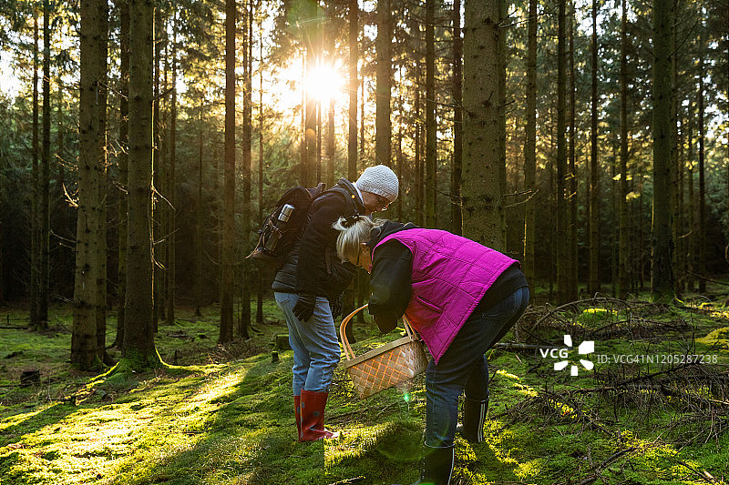 两位年长女士在森林中图片素材