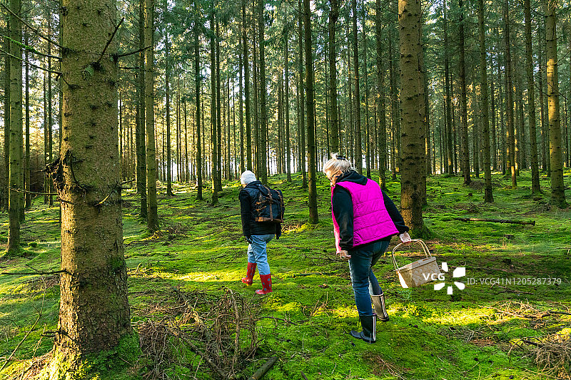 两位年长女士在森林中图片素材