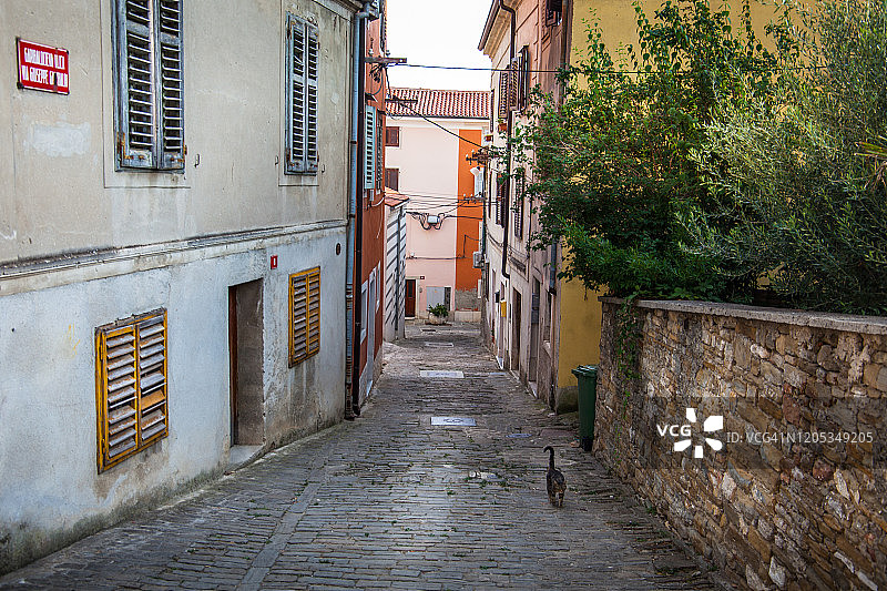 伊佐拉街道图片素材