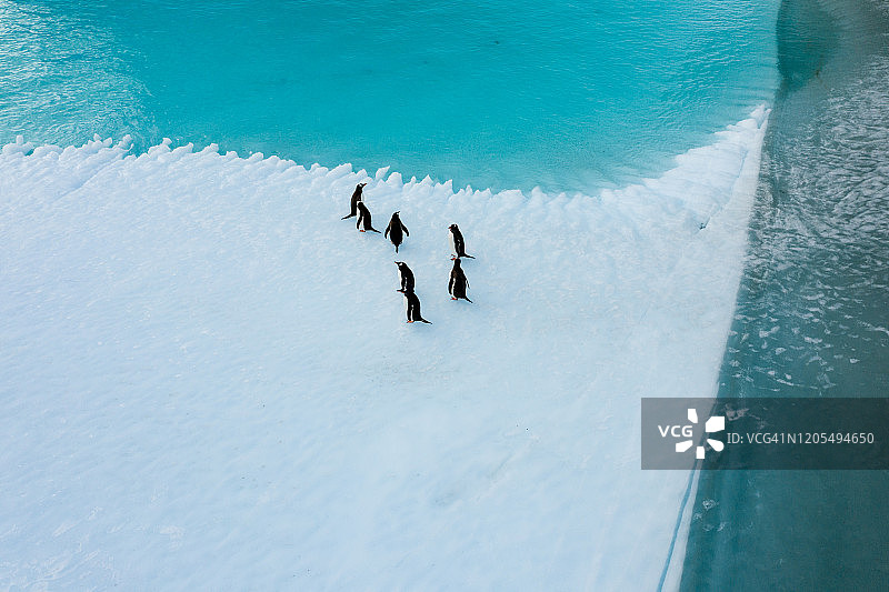 南极洲冰山和企鹅的鸟瞰图图片素材