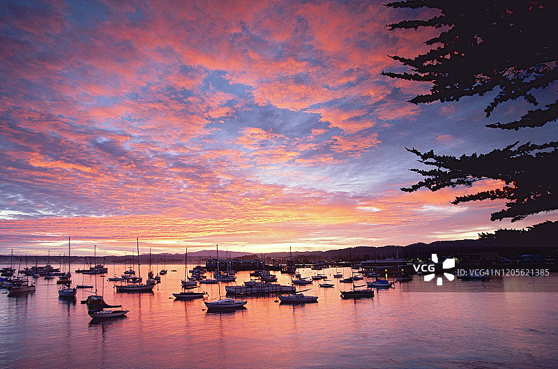 日出时分的蒙特雷湾，背景是渔人码头和船只图片素材