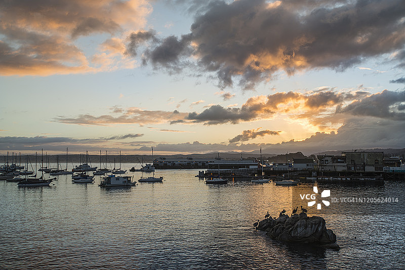 蒙特雷渔人码头图片素材