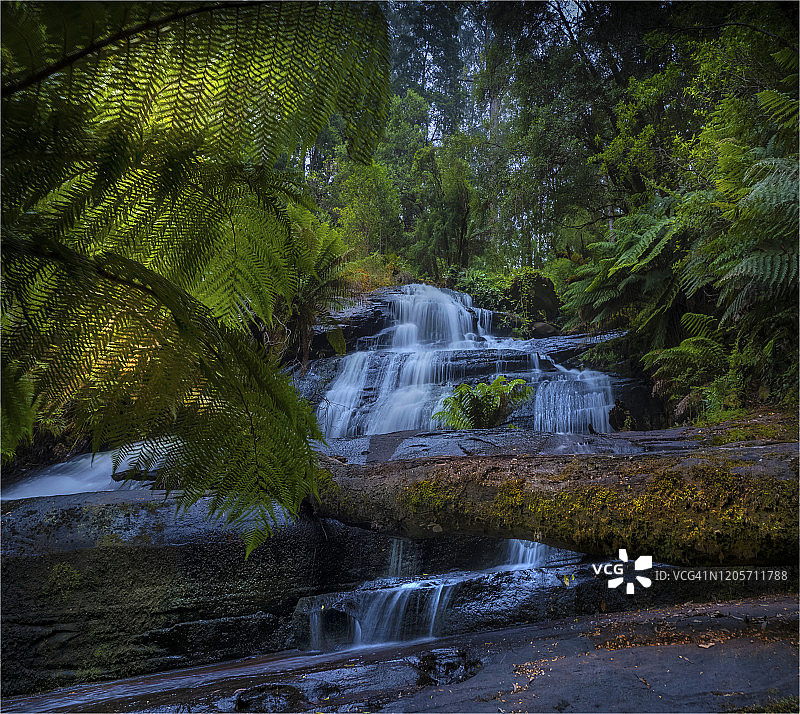 澳大利亚维多利亚州奥特威山脉国家公园的壮丽雨林和三重瀑布图片素材
