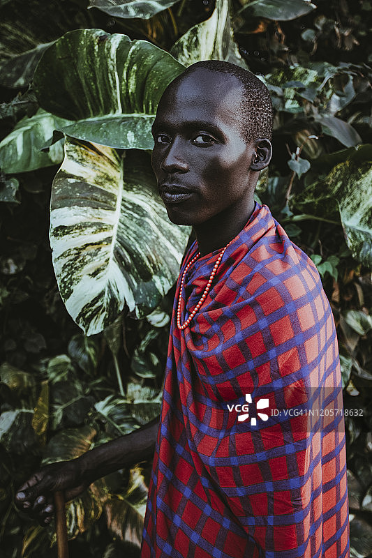 身着传统服装的马赛男子站在绿叶前图片素材