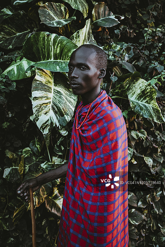 身着传统服装的马赛男子站在绿叶前图片素材