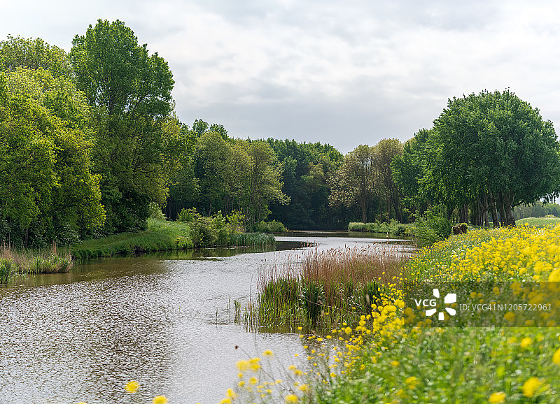 豪特拉克：哈勒姆和阿姆斯特丹之间的小公园图片素材