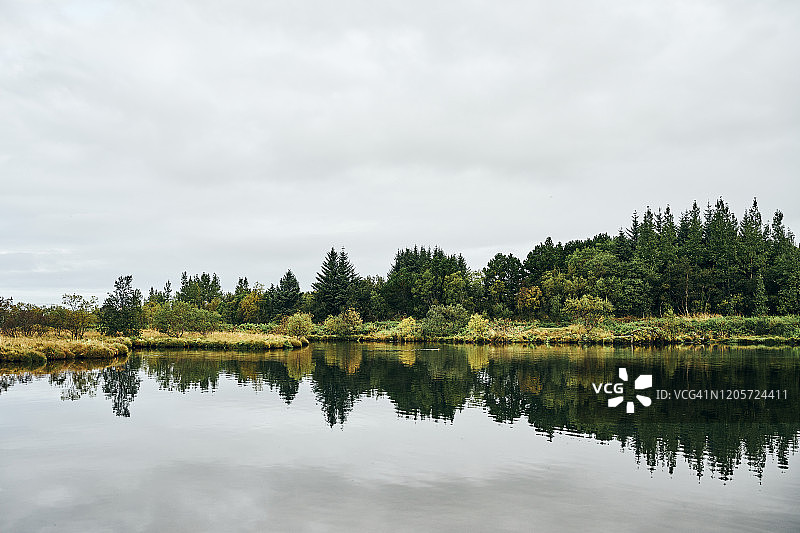 乡村绿色海岸森林图片素材