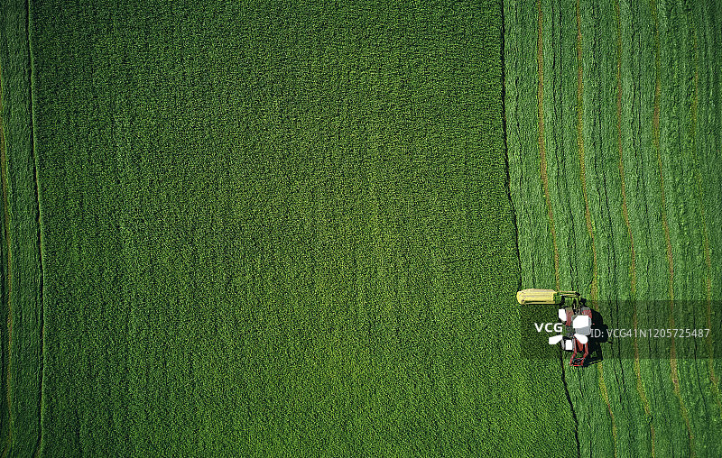 在翠绿麦田上作业的强大拖拉机图片素材