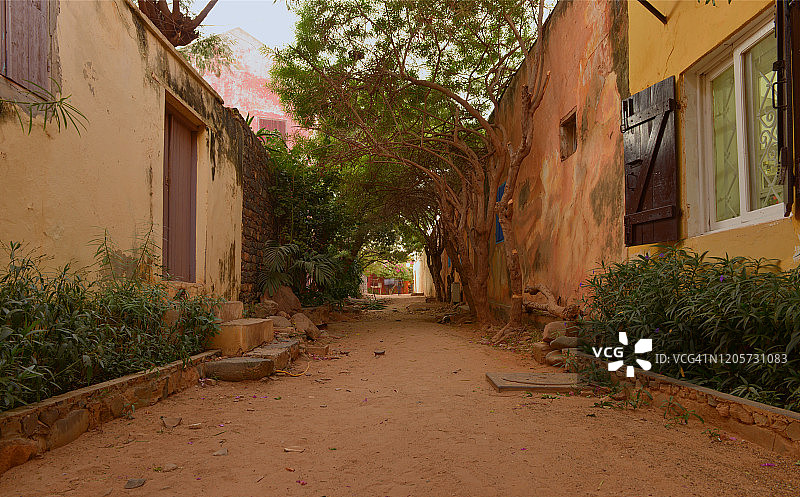 戈雷的林荫街道图片素材