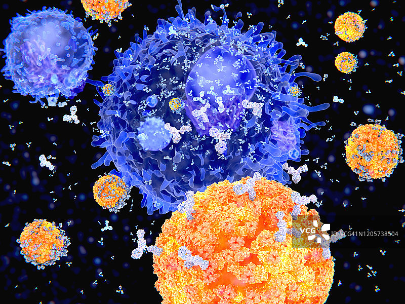 对病毒的免疫反应，图示图片素材