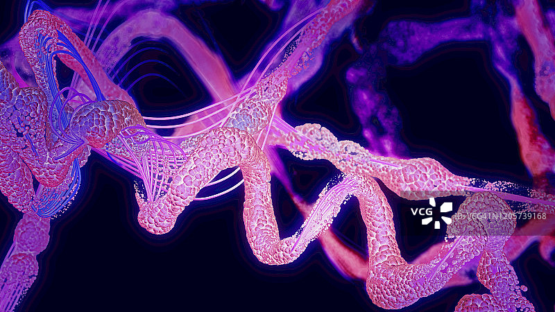 蛋白质，插图图片素材