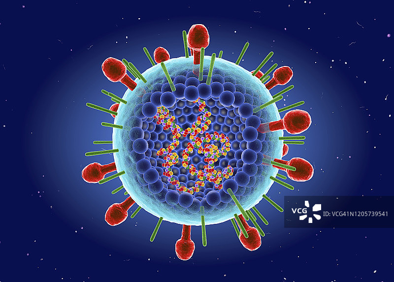 人类呼吸道合胞病毒插图图片素材