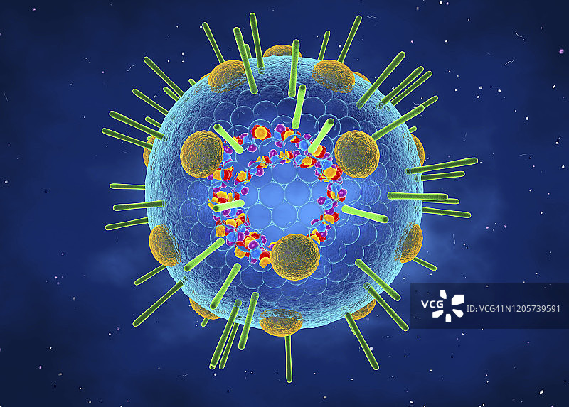 粘液病毒，图示图片素材