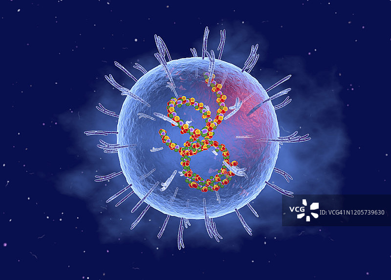 拉沙病毒剖面图图片素材