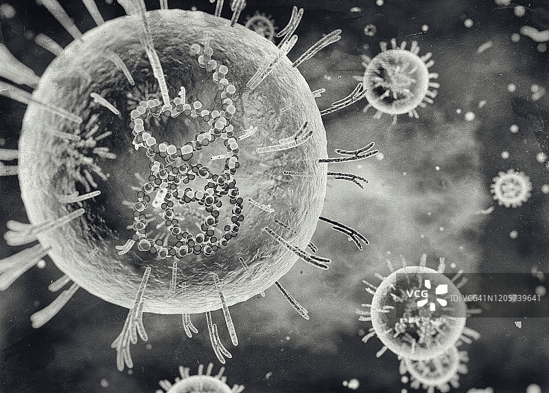 拉沙病毒剖面图图片素材