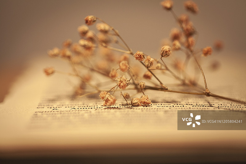 浪漫书籍图片素材