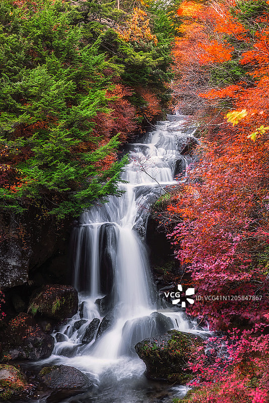 日本日光市的龙izu瀑布与秋叶图片素材