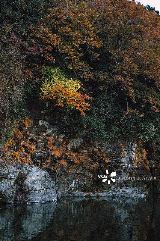 日本埼玉县秩父市长瀞町荒川的秋色和红叶图片素材