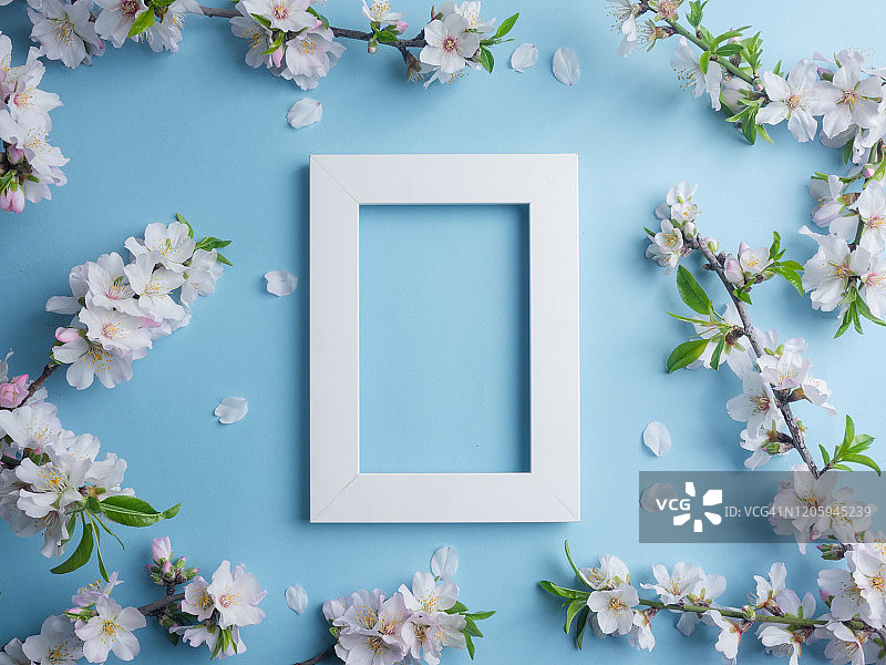 冬季构图：蓝背景上的照片框和杏花图片素材