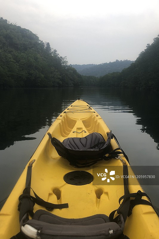 阁骨岛（沽岛）——在森林中划独木舟（孔昭运河）图片素材