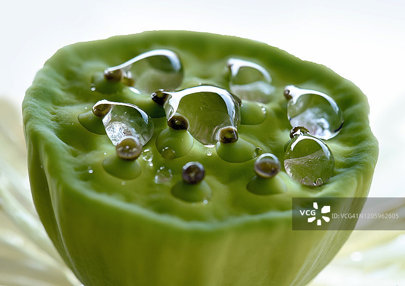 莲花的雄蕊和雌蕊可供食用图片素材