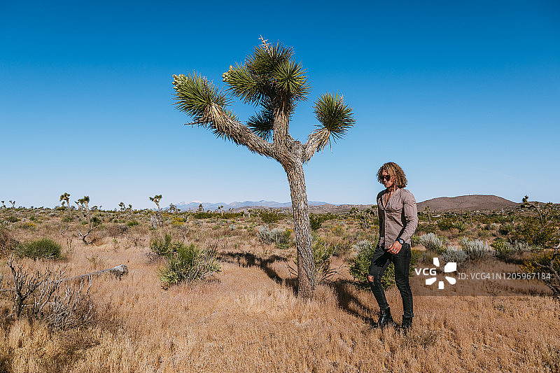 约书亚树与沙漠中的金发男人图片素材