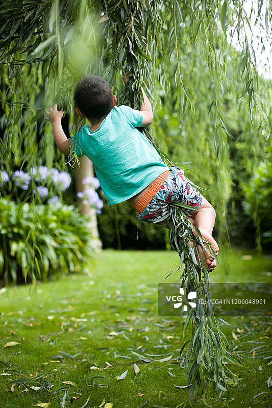 男孩在树上荡着藤条玩耍图片素材