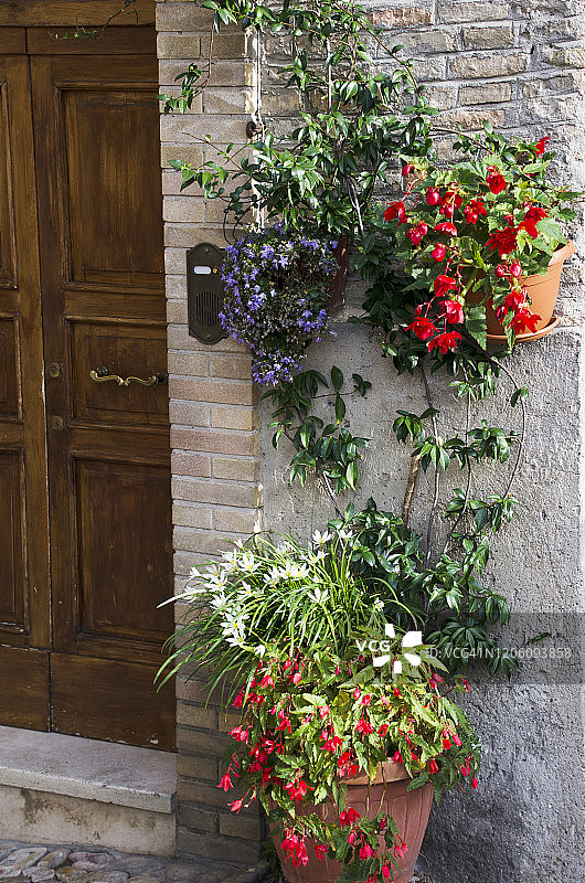 蒙特法尔科中世纪花卉装饰图片素材