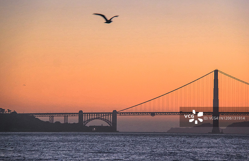 旧金山金门大桥日落景观，海鸥飞过图片素材