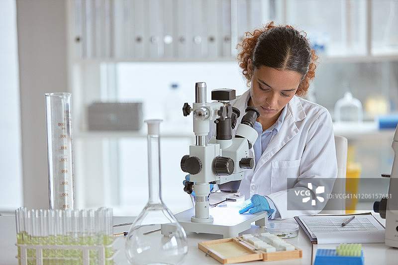 镜头下的事物大不相同图片素材