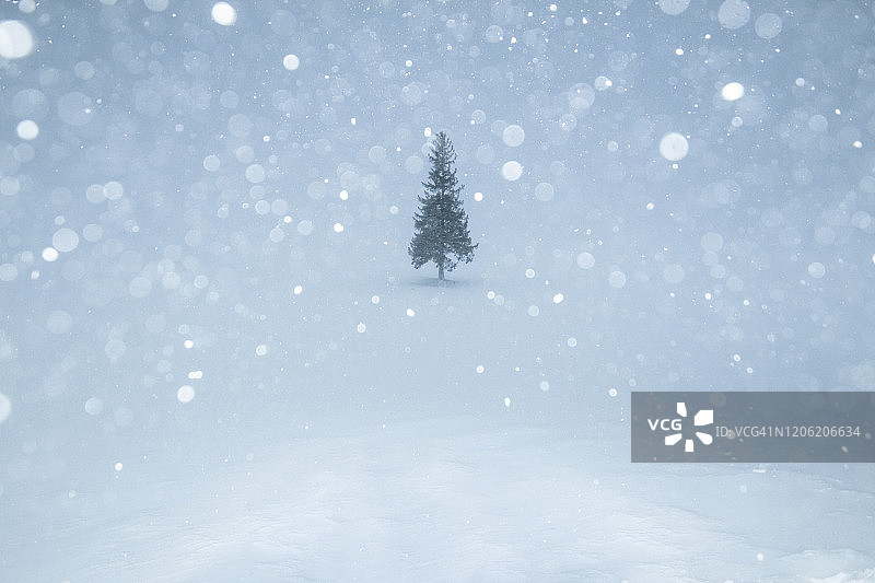 日本北海道美瑛町冬季景观图片素材