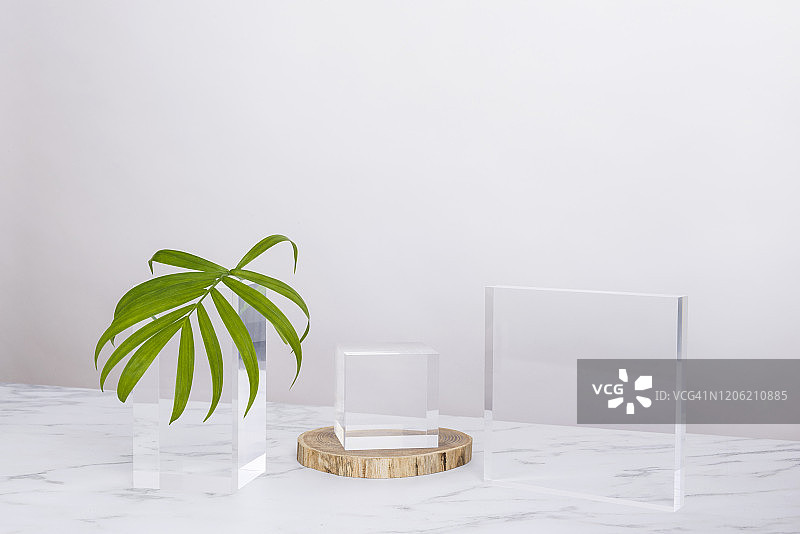 大理石和棕榈树图片素材