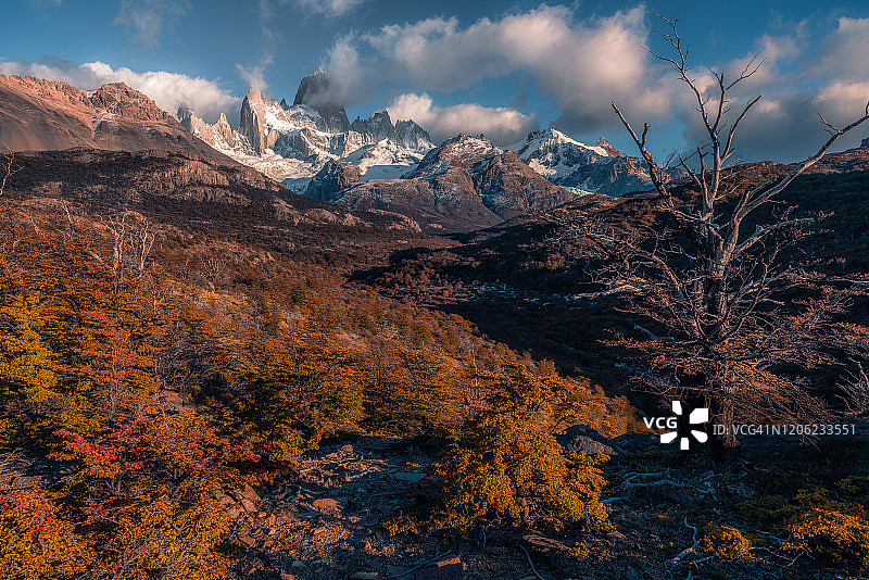 阿根廷巴塔哥尼亚菲茨罗伊峰和秋叶图片素材