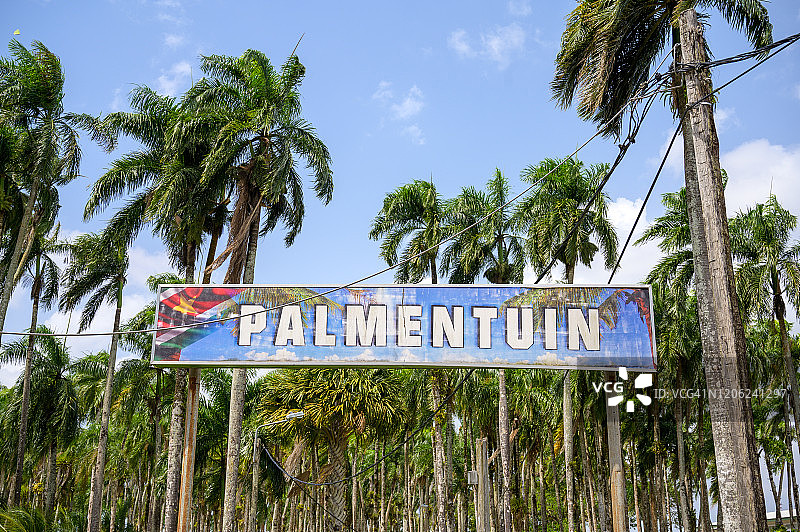 苏里南帕拉马里博的帕尔门蒂恩图片素材