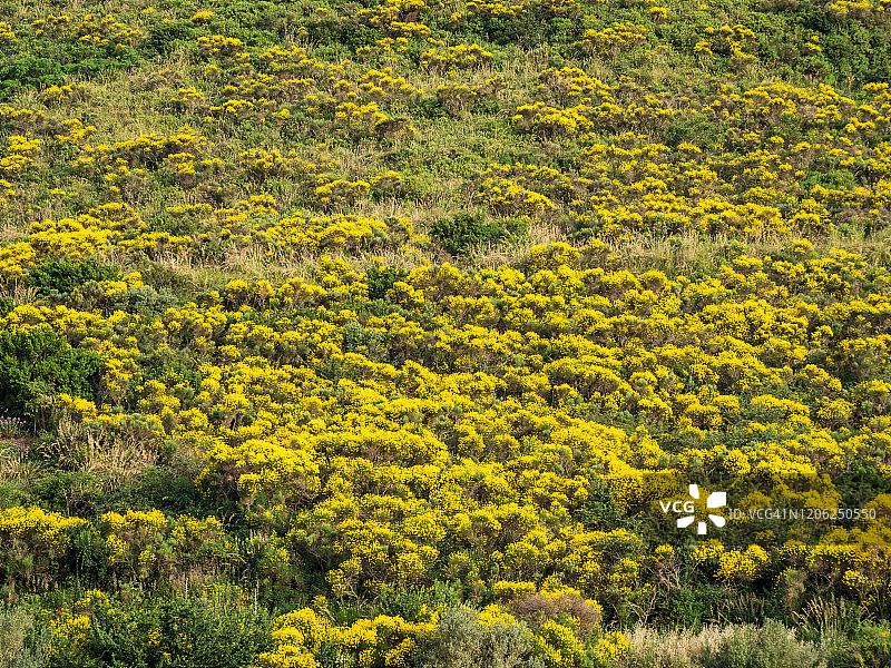 埃纳景观图片素材