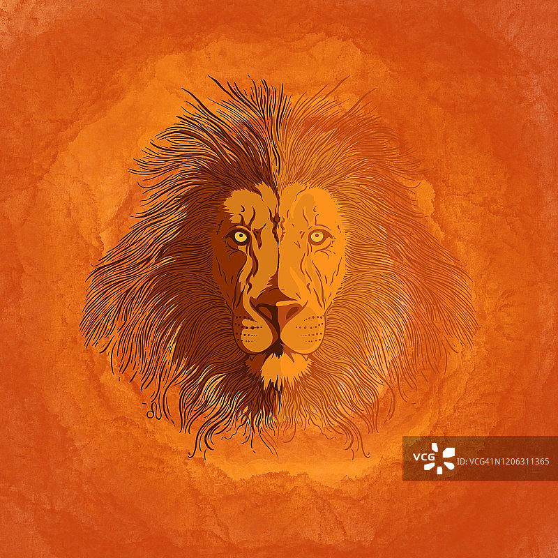 狮子座图片素材