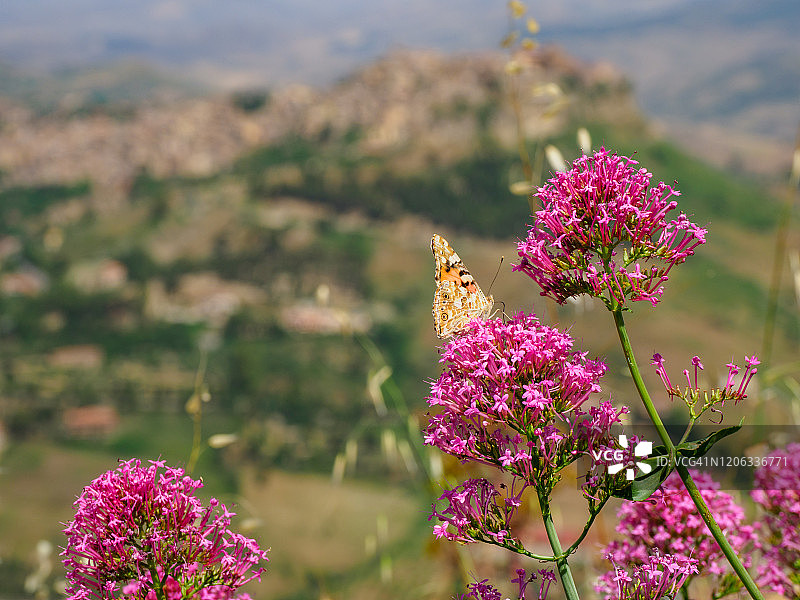 恩纳 - 西西里岛图片素材