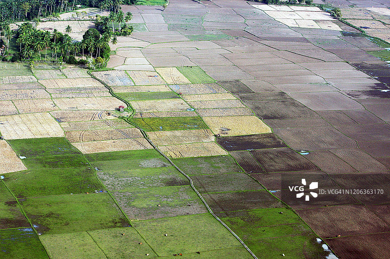 亚齐稻田图片素材